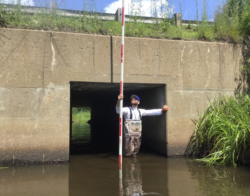 Measuring channel depths with a stadia rod at a box-culvert crossing, standing in chest waders in the stream.
